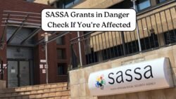 SASSA Grants at Risk: Payments May Be Stopped After September 15 for High-Income Recipients β Check Now